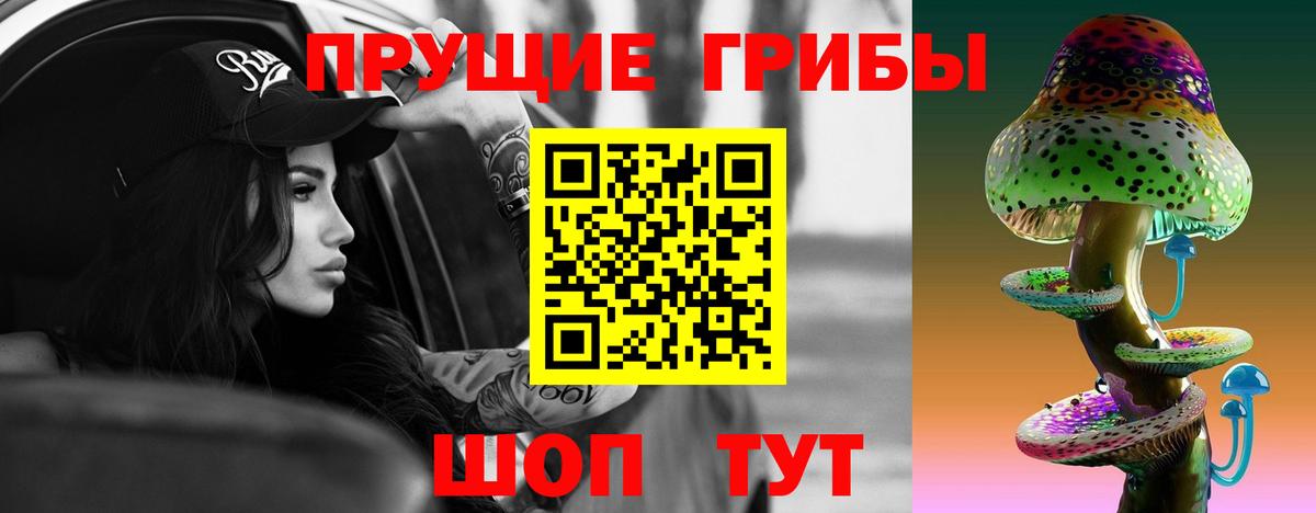 Псилоцибиновые грибы Psilocybe Батайск