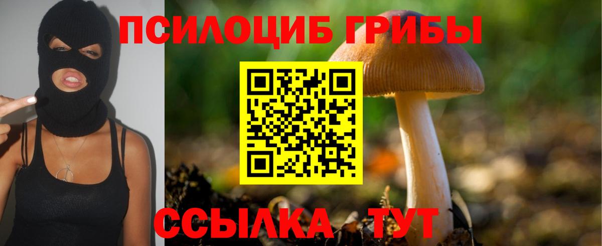 Батайск  Галлюциногенные грибы Cubensis  Вход с VPN 